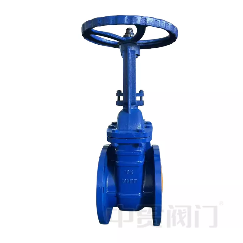 Why Should You Choose a Rising Stem Design Resilient Seat Gate Valve?