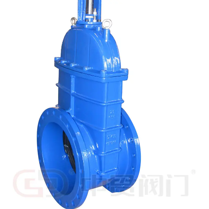 How Do Gate Valves Control Flow in Industrial Pipeline Systems?